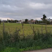 زمین ۱۸۰۰۰متری دربلوار لاکان کوچه ملکی|فروش زمین و ملک کلنگی|رشت, لاکان شهر|دیوار