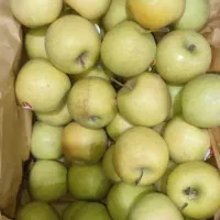 سیب درجه 2 رنگ دار و صاف