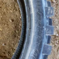 لاستیک گل جنگلی|دوچرخه، اسکیت، اسکوتر|آمل, |دیوار