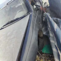 پژو تصادفی|خودرو سواری و وانت|بیلوار, |دیوار