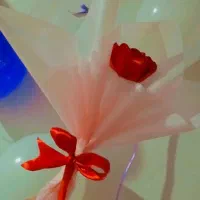 گل روبانی|گل مصنوعی|کنگاور, |دیوار