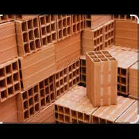 کبوتر  طوقی متن|پرنده|اسلام‌‌آباد غرب, |دیوار