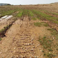 فروش زمین ۵۰هکتار زمین دیم و ۲هکتار زمین آبی