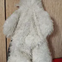 عروسک بزرگ خرسی|اسباب‌بازی بچه|مسجد سلیمان, |دیوار