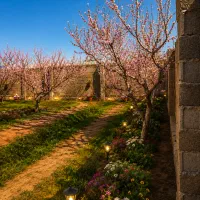 باغچه/چهار دیواری/نقلی/با سهمیه آب