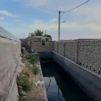 فروش گلخانه|فروش دفتر صنعتی، کشاورزی، تجاری|سمنان, |دیوار