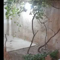 اجاره ویلایی ۷۵ متر/نقاشی شده/تمیز/خیام شرقی|اجارهٔ خانه و ویلا|فردیس, خیام شرقی|دیوار