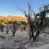 مجموعه قصر سبز زیر نظر جهاد سازندگی