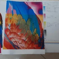 پرینتر رنگی تک کاره hp1025/1025nwفول شارژ باضمانت|پرینتر، اسکنر، کپی، فکس|تهران, نجات اللهی|دیوار