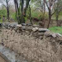 تاکستان-835-متری-با-سند-تک-برگ-دیوارکشی-و-حق-آب