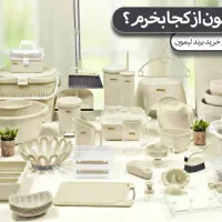 فروشنده آشنا به حسابداری هلو