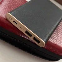 پاوربانک