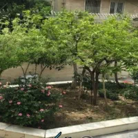 خوابگاه دخترانه حضرت رقیه|اجارهٔ کوتاه‌مدت آپارتمان و سوئیت|تهران, فردوس|دیوار