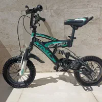 دوچرخه حرفه ای|دوچرخه، اسکیت، اسکوتر|بیجار, |دیوار