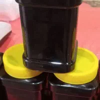 اربا دوشاب جنگلی