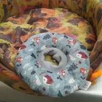 لانه دو حالته ضد حساسیت برای حیوانات|لوازم جانبی حیوانات|رشت, گلباغ نماز|دیوار