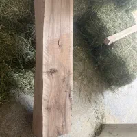 کنده گردو|مصالح و تجهیزات ساختمان|تهران, دکتر هوشیار|دیوار