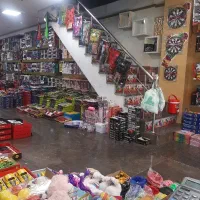 فروشنده در مغازه اسباب بازی فروشی