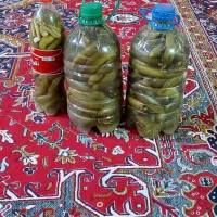 خیار شور درجه ۱