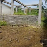 زمین-مسکونی-سند-تک-برگ-منطقه-جنگلی-کوهستانی