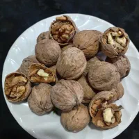 گردوی چرب و طلایی