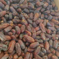 فروش خرما درشت اصل بلوچستان