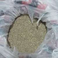 بذر هویج فله اپتیما