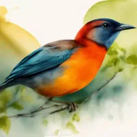 نیروی کار خانم  در امورهنری و  نقاشی