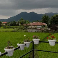 متراژ کلبه ۸۰ متر/ زمین محصور/ بحر جاده