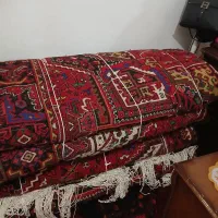 یک جفت فرش ۱۲ متری اصل نمرو