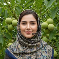 جشنواره نهال گردو ژنوتیپ برتر باپرداخت پس از تحویل