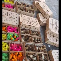 جوجه رنگی گلپایگان بوقلمون اوردک