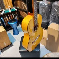 راهنمای خرید گیتار