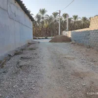 زمین|فروش زمین و ملک کلنگی|آبپخش, |دیوار