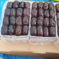 خرمای مضافتی