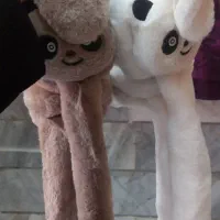 روگوشی