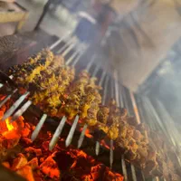استخدام نیروی جوان جگرکی