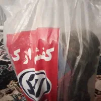 کفش سایز43