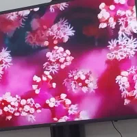 تلویزیون سامسونگ ۵۰ اینچ منحنی کره ای اصل