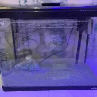 آکواریوم شرکتی ماهیران با کلیه تجهیزات|ماهی|اهواز, رسالت|دیوار