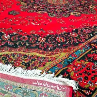 فرش ۱۲ متری اصیل و سنگین|فرش|ساری, |دیوار