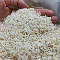 برنج و خرده برنج