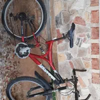 دوچرخه دو عدد کوچک و بزرگ|دوچرخه، اسکیت، اسکوتر|سلمان‌شهر, |دیوار