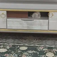 میز تلویزیون