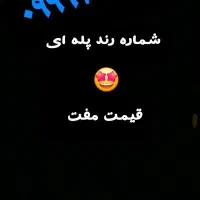 09991299394