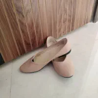 کفش مجلسی