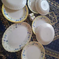 آرکوپال پنسی|ظروف سرو و پذیرایی|خمینیشهر, |دیوار