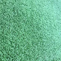 چمن مصنوعی و ۴ تخته پالت چوبی نو