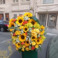 دسته گل/سبد گل/باکس گل /گل خواستگاری/بله برون|گل و گیاه طبیعی|تهران, مهرآباد جنوبی|دیوار