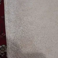 ۲ عدد پالاز موکت|موکت|بندر ماهشهر, |دیوار